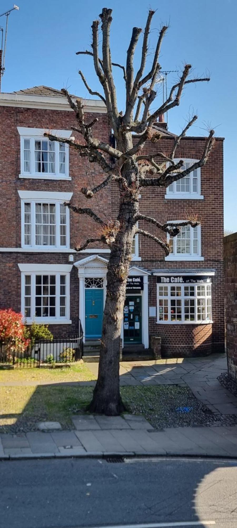 Deva Leisure Apartment Chester Exterior photo